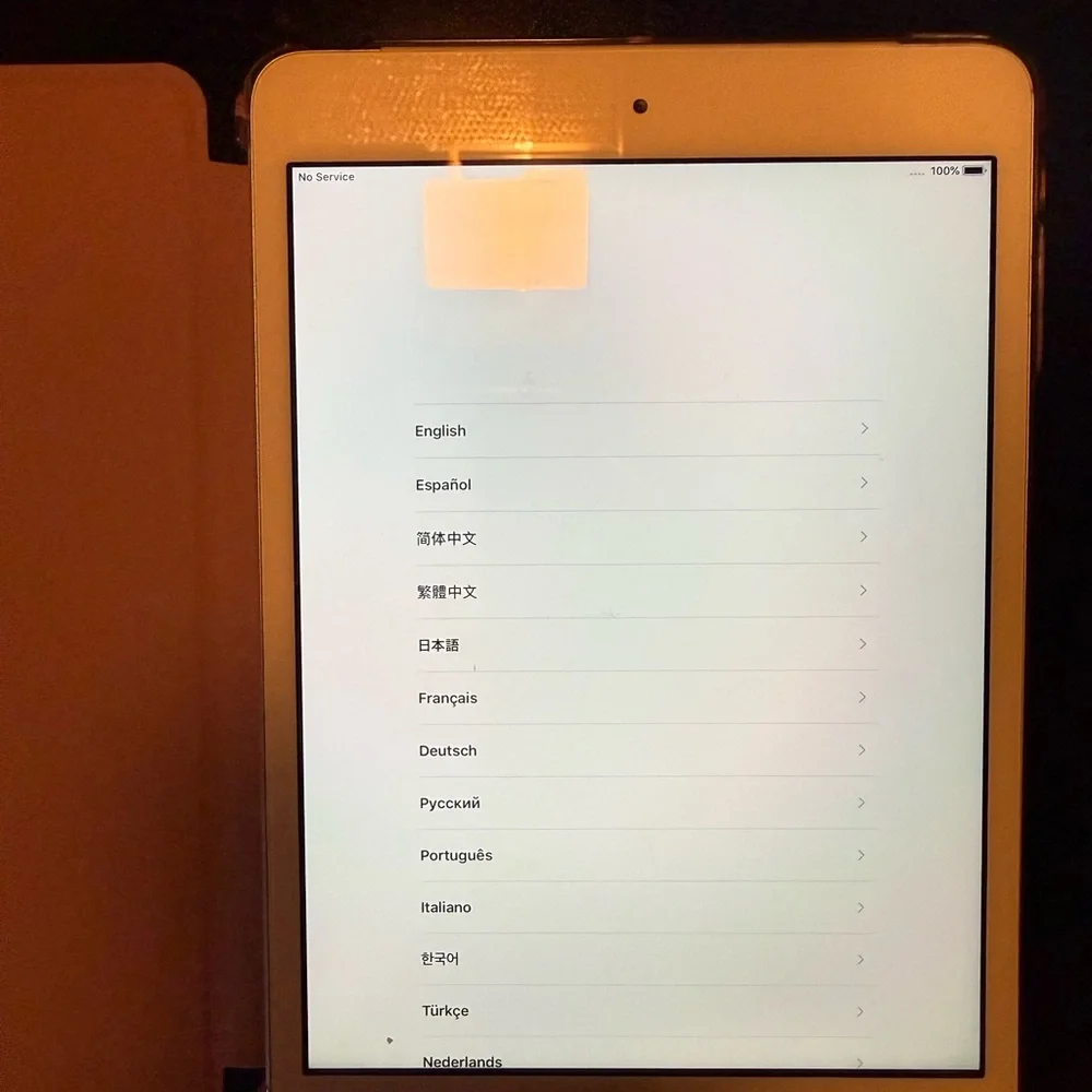 iPad Mini 3 with case included (16GB)